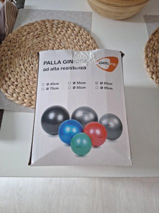 Balón de Gimnasia o embarazo GetFit