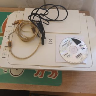 Impresora Canon Pixma MG2550 Blanca