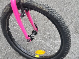 Bicicleta niña  de 20" rosa