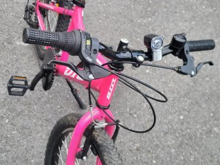 Bicicleta niña  de 20" rosa