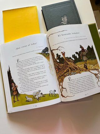 Lote de libros