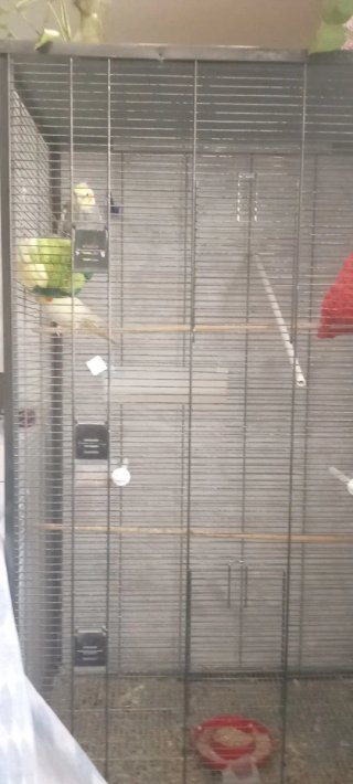 Jaula grande para pájaros