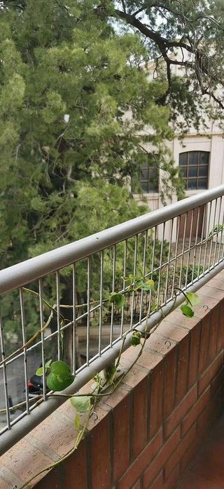 Piso en alquiler en Favara en Valencia