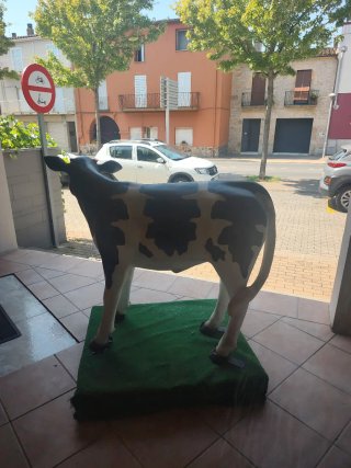 Ternero exposición carnicería