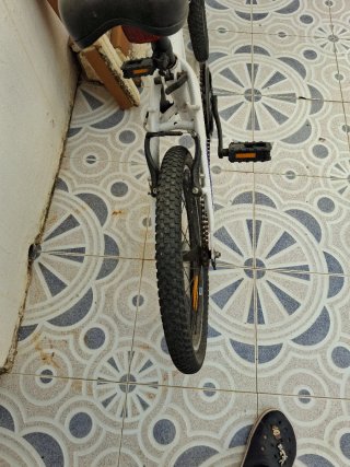 Bicicleta plegable Bfold 300