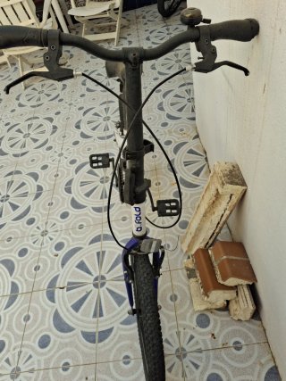 Bicicleta plegable Bfold 300