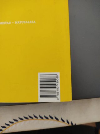 No, no y no