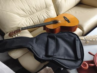 Guitarra Admira Juanita