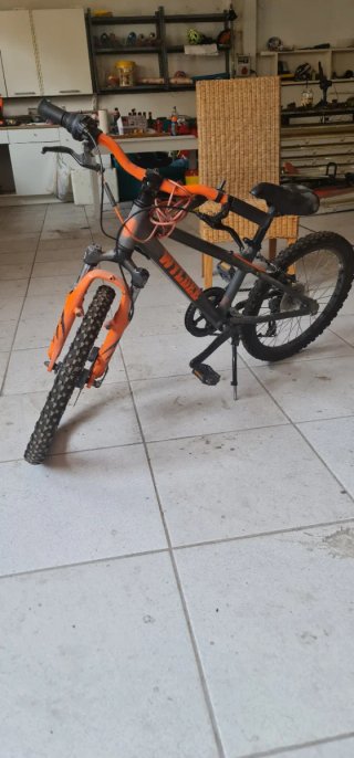 Bicicleta infantil Wyldee