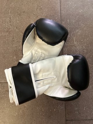 Guantes de Boxeo Bruiser + Vendas Tiger Muay Thai