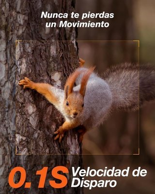 Cámara de Caza 2k con 4G LTE NUEVA