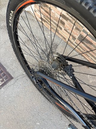 Orbea MX 29 Bicicleta Montaña