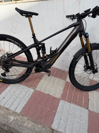 Orbea Wild M-LTD 2024 Talla M