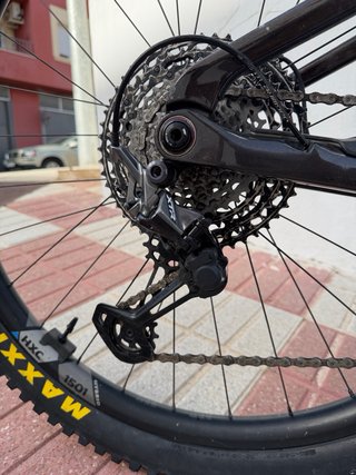 Orbea Wild M-LTD 2024 Talla M