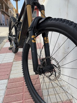 Orbea Wild M-LTD 2024 Talla M