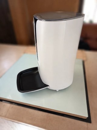 Comedero automático para gatos