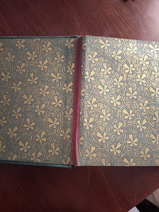 Álbum Fotos Antiguo Belle Époque Art Nouveau