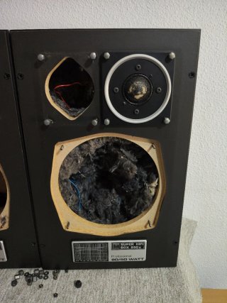 Altavoces Hi-Fi 80/50 Watt