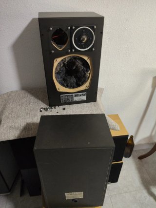 Altavoces Hi-Fi 80/50 Watt