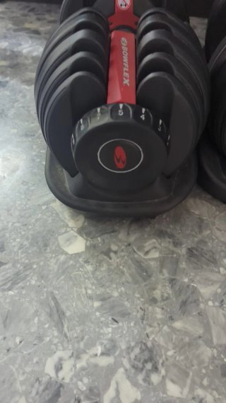 Mancuernas Bowflex 552i Ajustables 24kg