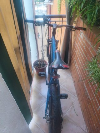 Bicicleta de Montaña