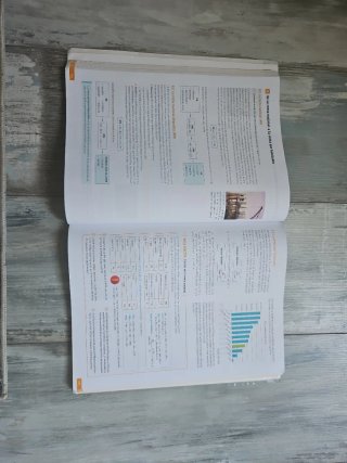 1 Bachillerato, Economía Revuela