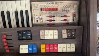 Órgano Electrónico Welaon