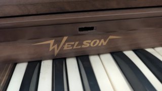 Órgano Electrónico Welaon
