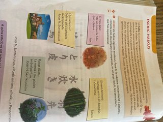 LLENGUA CATALANA 4 PRIMARIA CONSTRUINT MONS