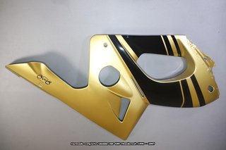 Oferta especial Carenado YAMAHA Thundercat YZF 600