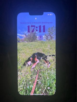 iPhone 13 Pro Max 128GB