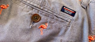 Pantalón corto Superdry W31
