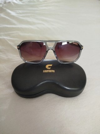 Gafas de sol Carrera grises y marrones