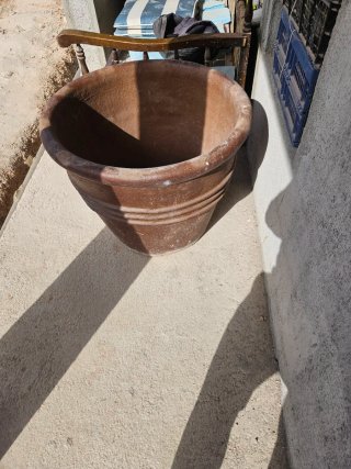 Maceta de barro grande