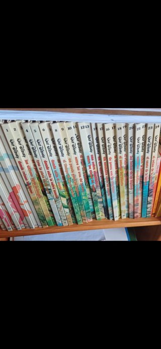 Colección Walt Disney 24 Tomos