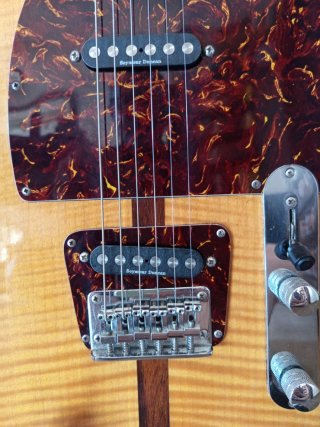 Guitarra Eléctrica HOHNER The Prize