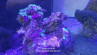 Acuario Marino