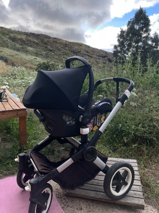 Cochecito Bugaboo Buffalo