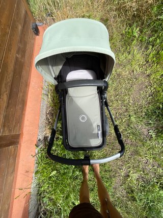 Cochecito Bugaboo Buffalo