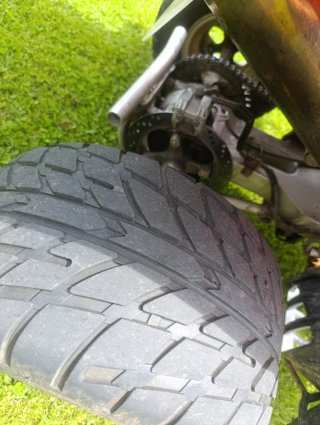 Quad Goes 450 TE