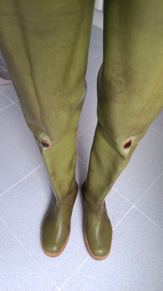 Botas altas de muslo