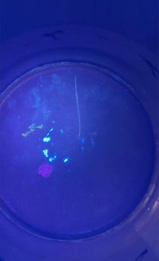 Un gran plato de porcelana azul y blanca qing