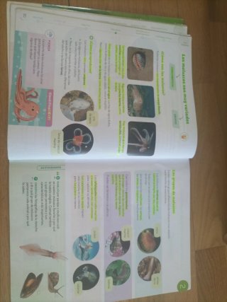 Ciencias de la naturaleza, 3 Primaria