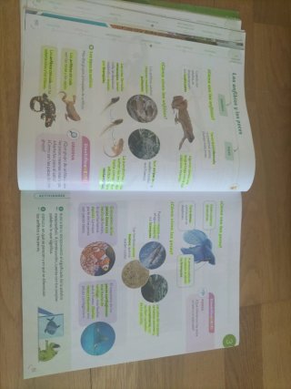 Ciencias de la naturaleza, 3 Primaria