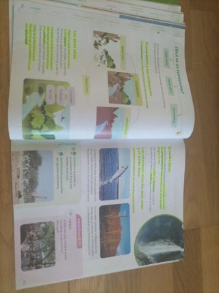 Ciencias de la naturaleza, 3 Primaria