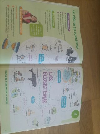 Ciencias de la naturaleza, 3 Primaria