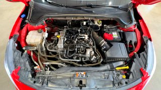 Ford FOCUS STLine 1.0T EcoBoost mHEV 92kW 125CV (2024)