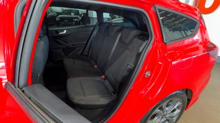Ford FOCUS STLine 1.0T EcoBoost mHEV 92kW 125CV (2024)