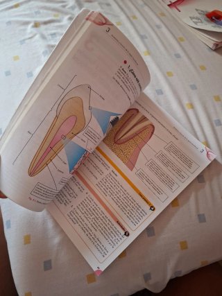 Tecnicas de ayuda odontologica y estomatologica...