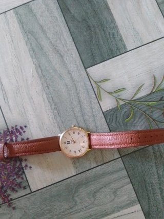 Reloj Exhib Cuarzo Marrón y Dorado